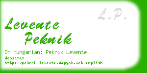 levente peknik business card